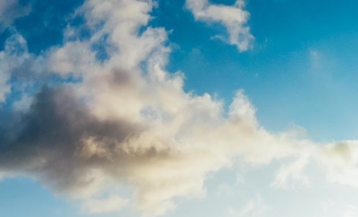 粉象生活是谁做的