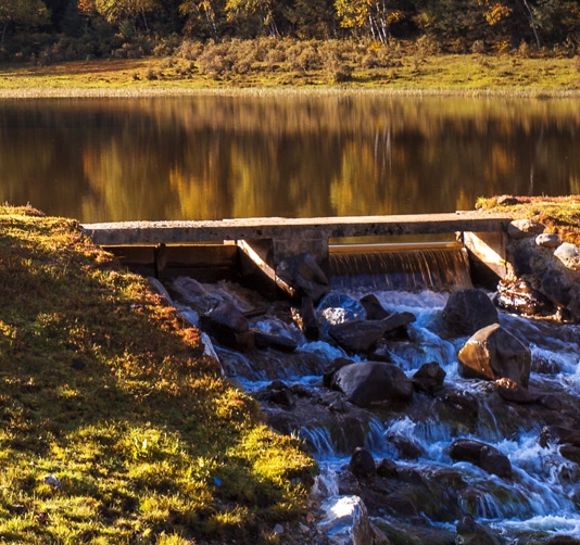 粉象生活安全可靠吗