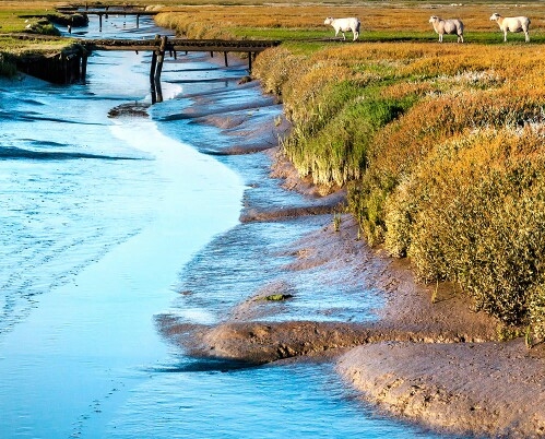 京粉app怎么赚取佣金