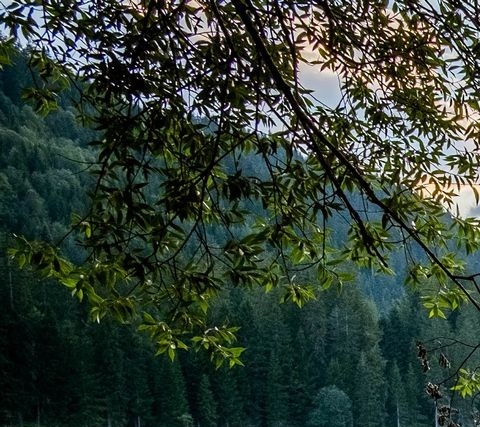 同安生活网招聘信息