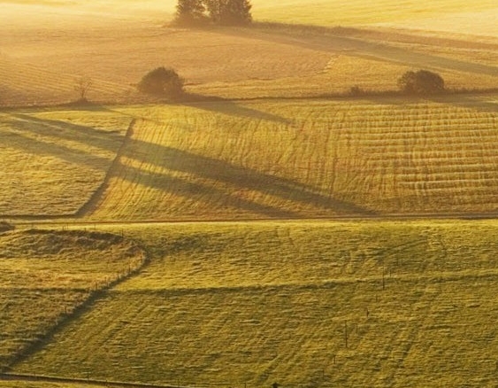 怀疑老公在外面有女人怎么办