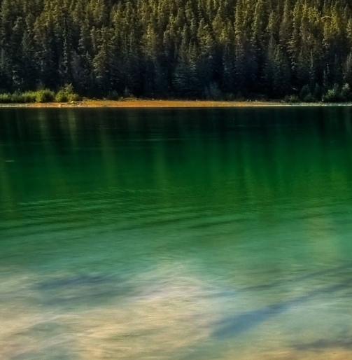 粉象普通会员拿几级佣金