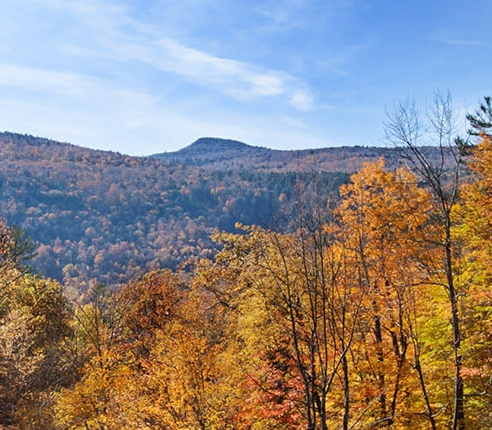 粉象生活新手怎么做