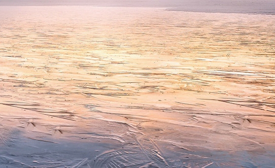 粉象VIP自我介绍