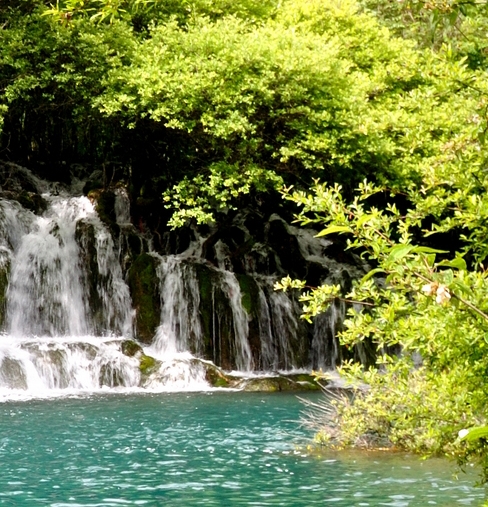 粉象生活怎么购买vip