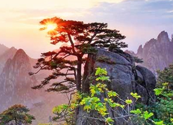永辉合伙人模式