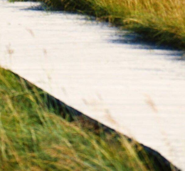 抖音本地生活服务商代理