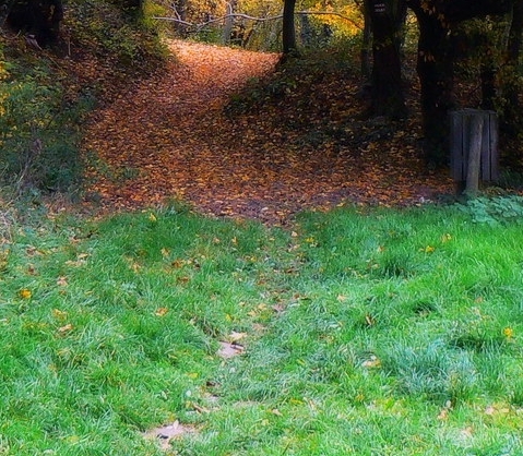 粉象生活怎么免费升级vip