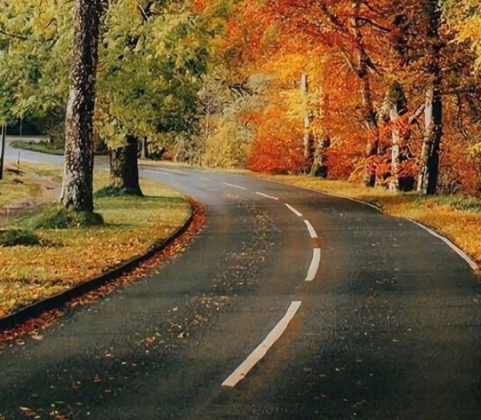 粉象生活我的粉丝佣金