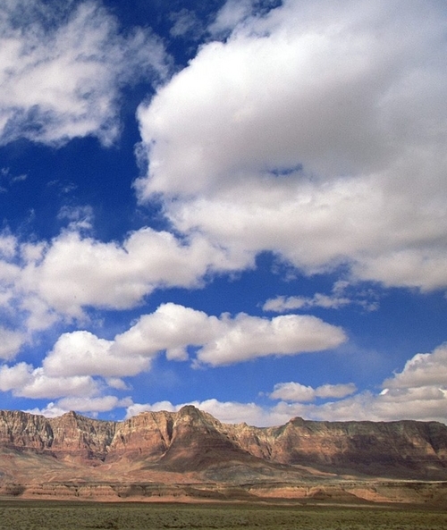 粉象创始人李红星