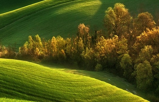 香蕉二维码邀请图在哪