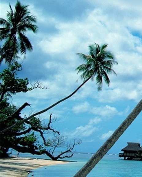 淘粉生活合法吗