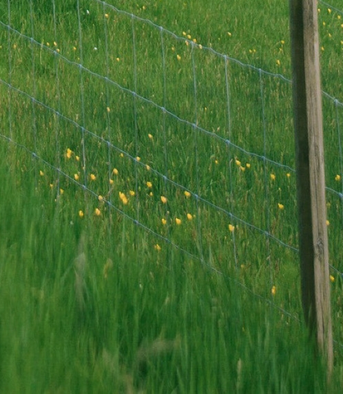 淘券小帮手和粉象生活哪个好