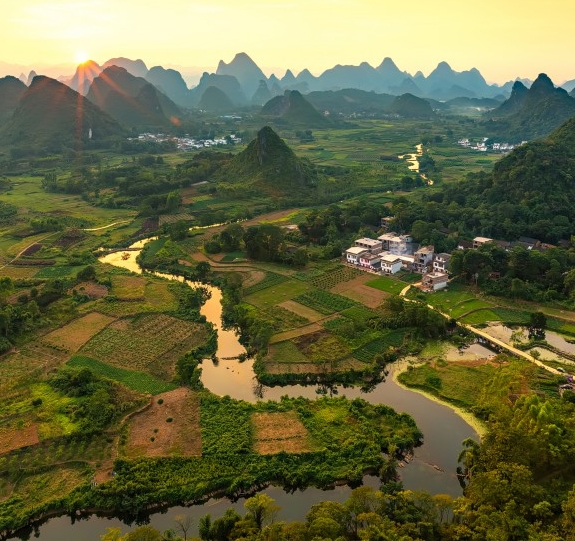 淘乐惠与粉象生活