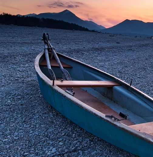 亚马逊蓝宝石粉趾