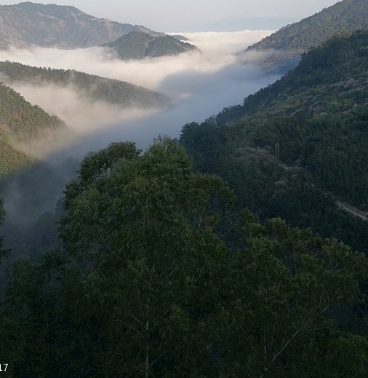 淘特邀请一个人多少钱