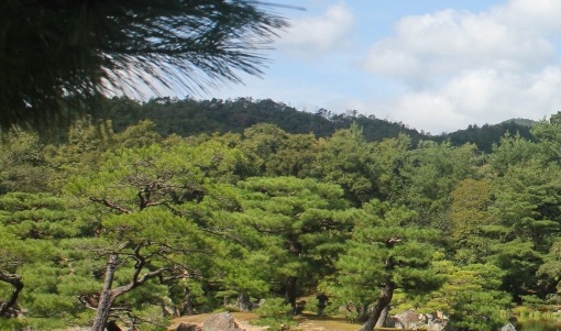 粉象邀请一个人多少钱