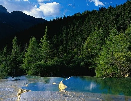 罗斯福为什么能任四届总统