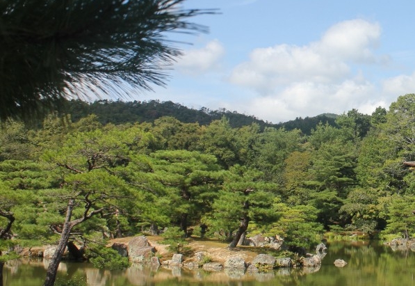 粉象生活邀请码填j7ztkj