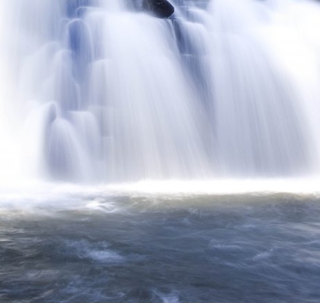 粉象生活公司简介