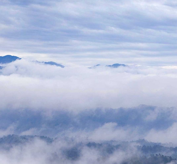 网上让做任务赚钱是骗人的吗