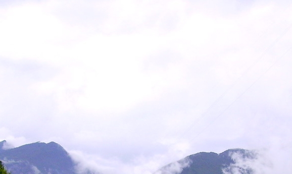 粉象生活上的东西是正品吗