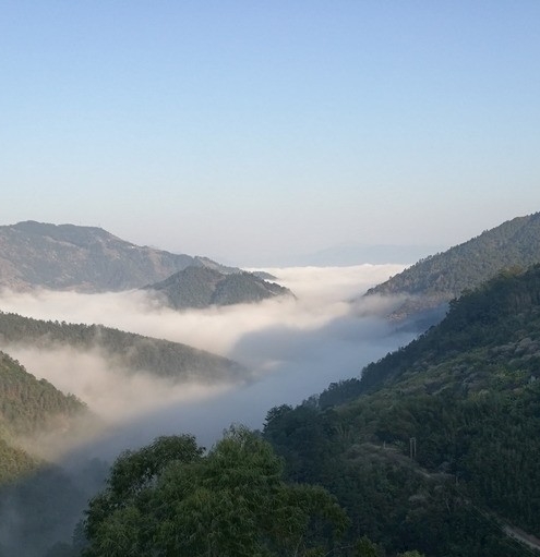 粉象生活邀请码 325922官方