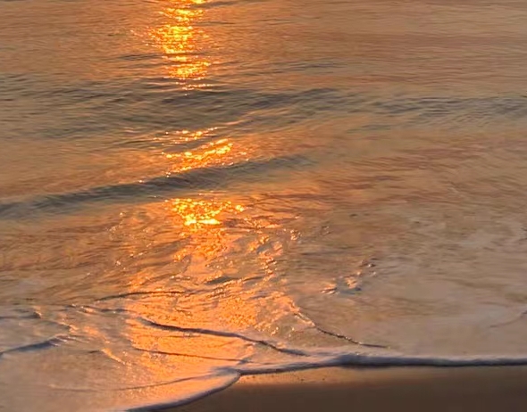 粉象积分用来做什么