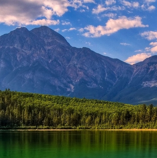 粉象生活在哪个活动页打卡