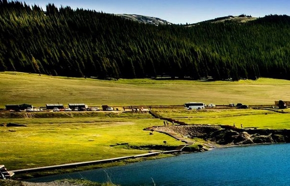 抖音直播为何别人的粉丝观看量多