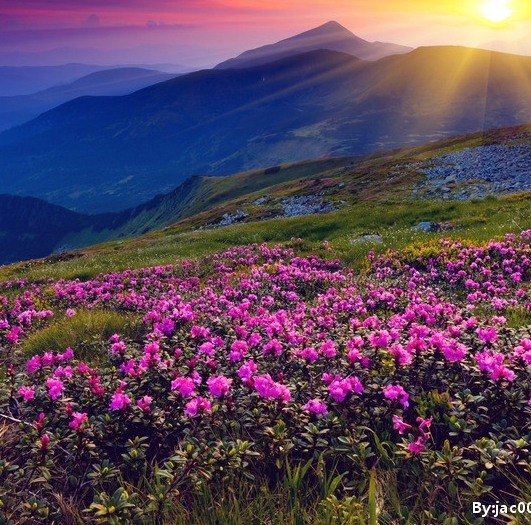 兼职跑滴滴一个月能挣多少钱