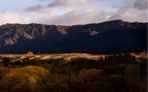 淘粉生活是不是骗局