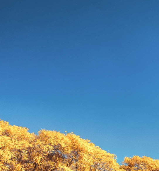 粉象生活靠谱吗