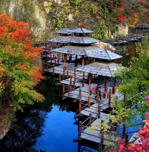 粉象优选是真是假