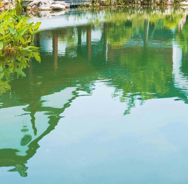 粉象生活返利网安全吗