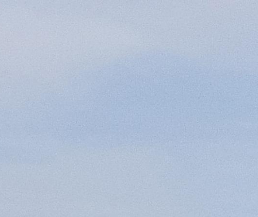 哈佛赤兔和初恋哪个好