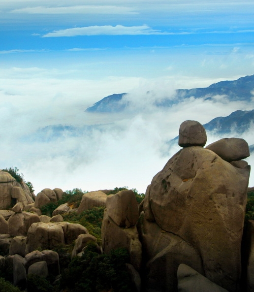 粉象生活每日打卡瓜分奖金