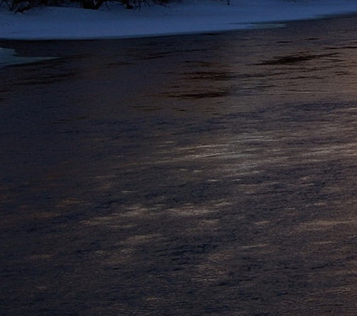 粉象生活骗局大揭秘