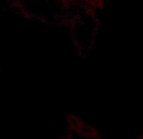 粉象vip为什么要钱开通