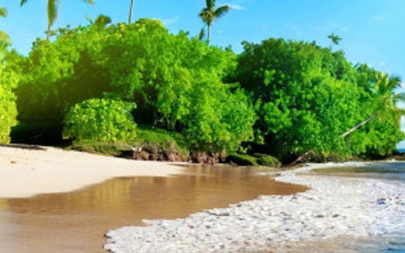 粉象啤酒多少钱一瓶