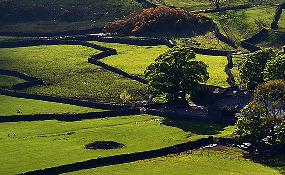 粉象生活返利是谁反的