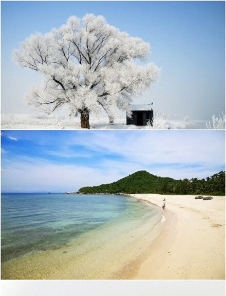 粉象生活真的能赚钱吗