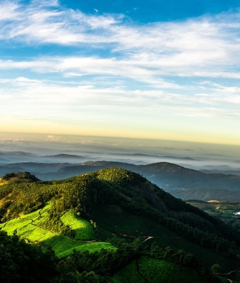 西安粉象科技有限公司