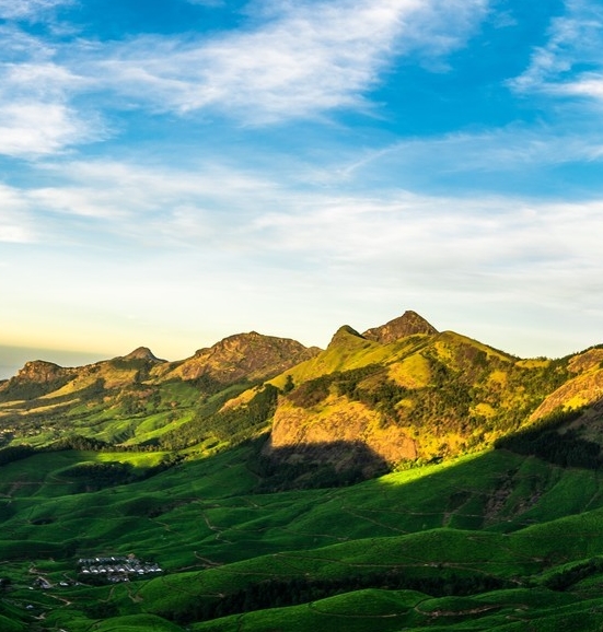 粉象生活官网首页