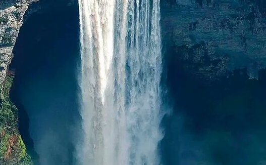 象态橡栗象长长的怪鼻子是用来做什么的