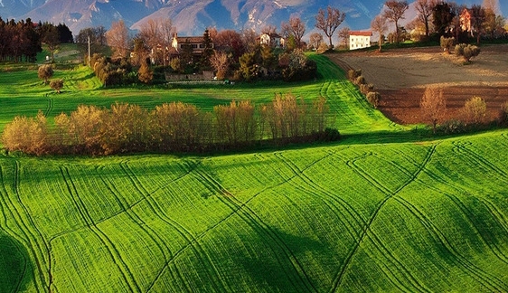 粉象生活一个月赚多少钱
