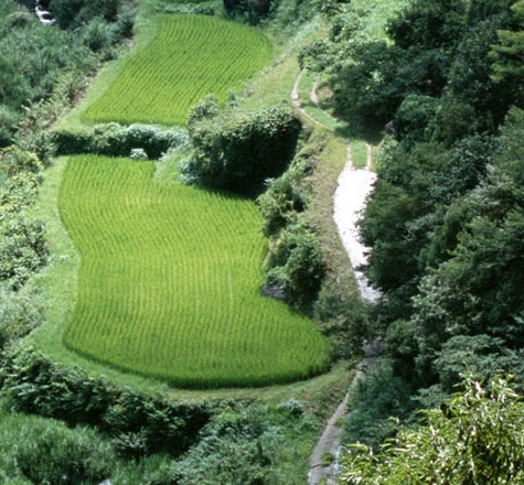 粉象生活买东西可靠吗