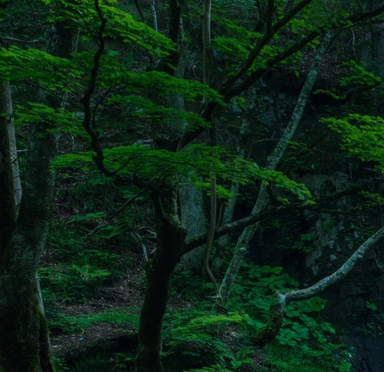 真人公仔做一个多少钱