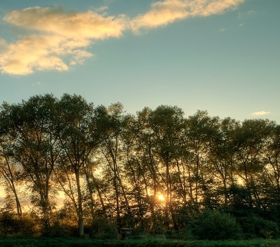 粉象生活买的是正品不