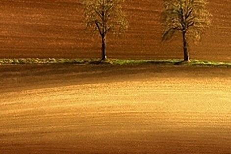 粉象生活积分怎么算